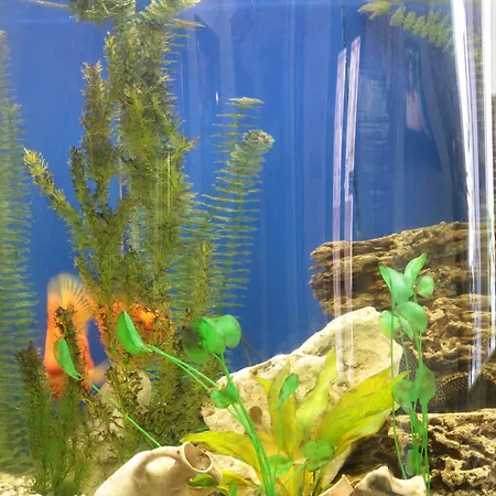 40 Let Pobedy Hotel 3*