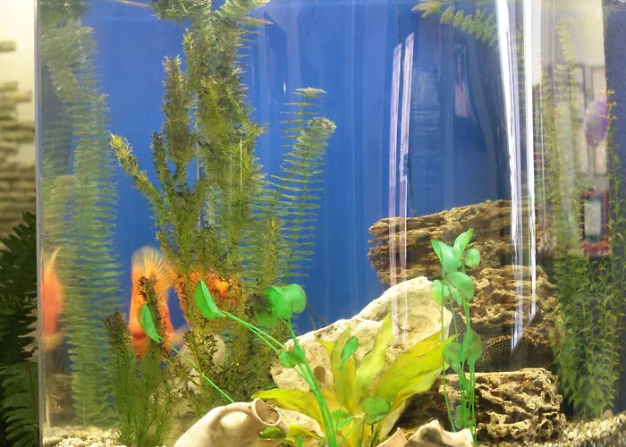 40 Let Pobedy Hotel 3*